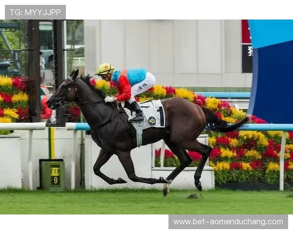 娱乐与赢奖结合的赛马会游戏带来双重精彩体验